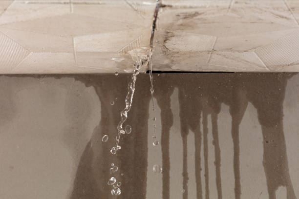 Professional Sewage Cleanup technician working in Highland, NY